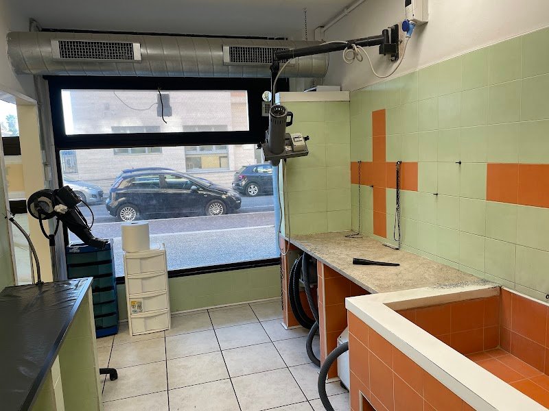 La Casa Dei Cuccioli - Foto 5