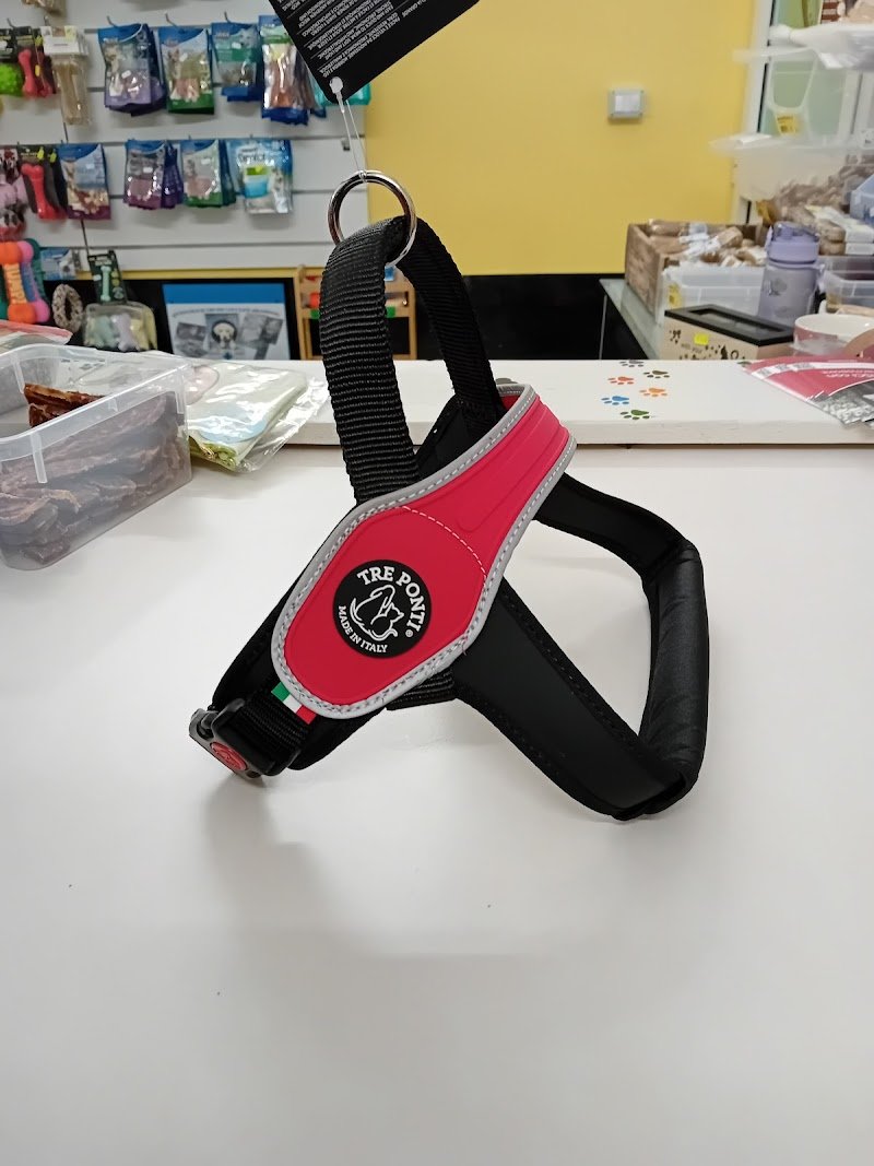 La casa dei pelosetti - Foto 3