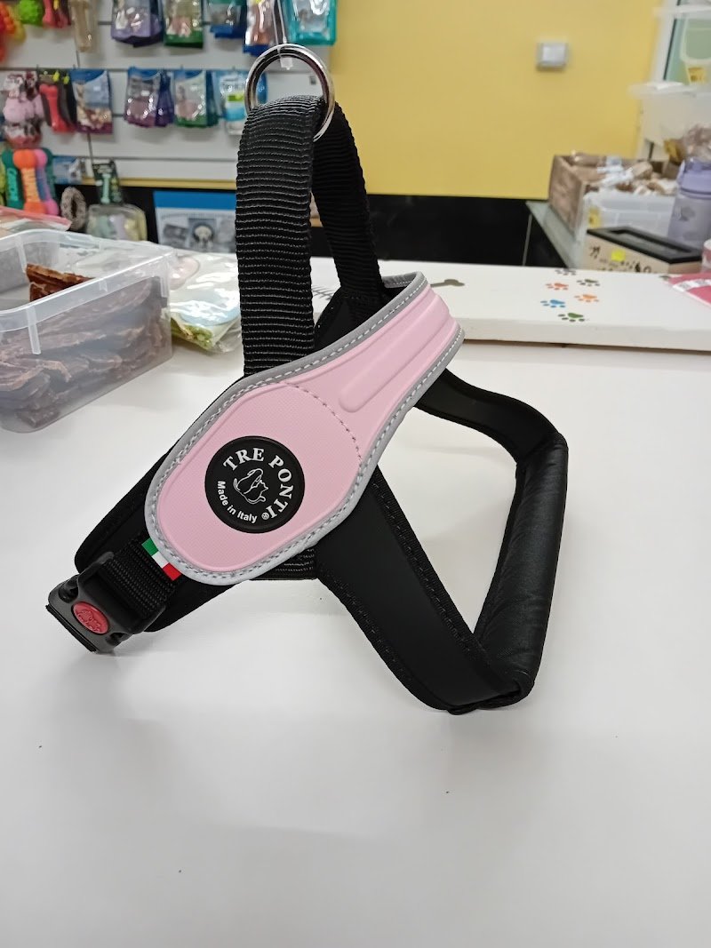 La casa dei pelosetti - Foto 6