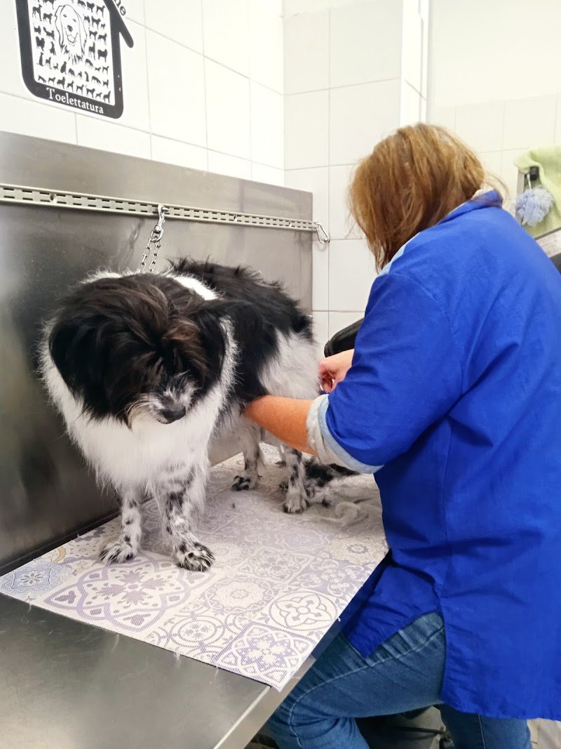 La casa del cane - Foto 2