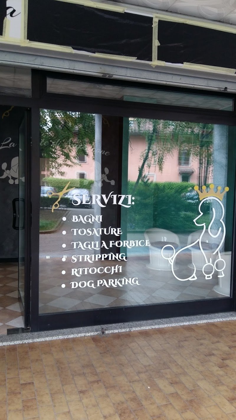 La Corte di Napoleone - Foto 1