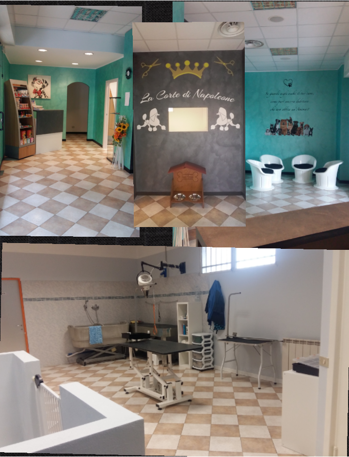 La Corte di Napoleone - Foto 3