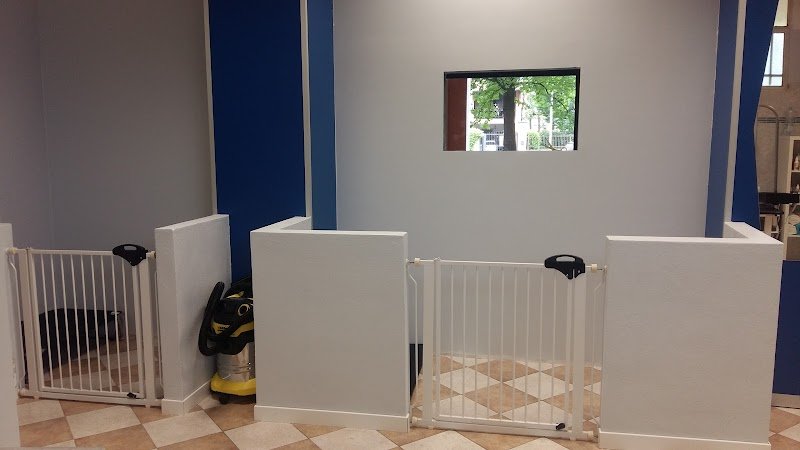 La Corte di Napoleone - Foto 5