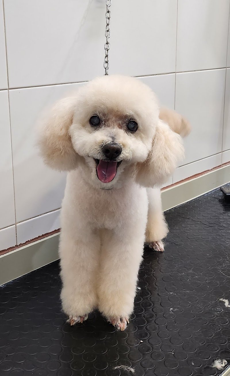 La Cuccia di Luna - Foto 1