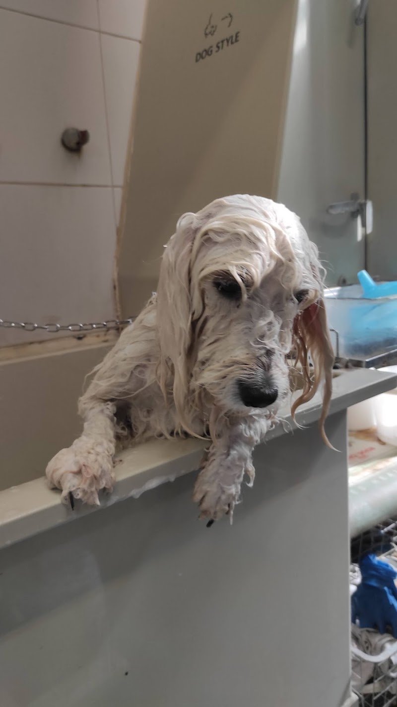 La Cuccia di Luna - Foto 2