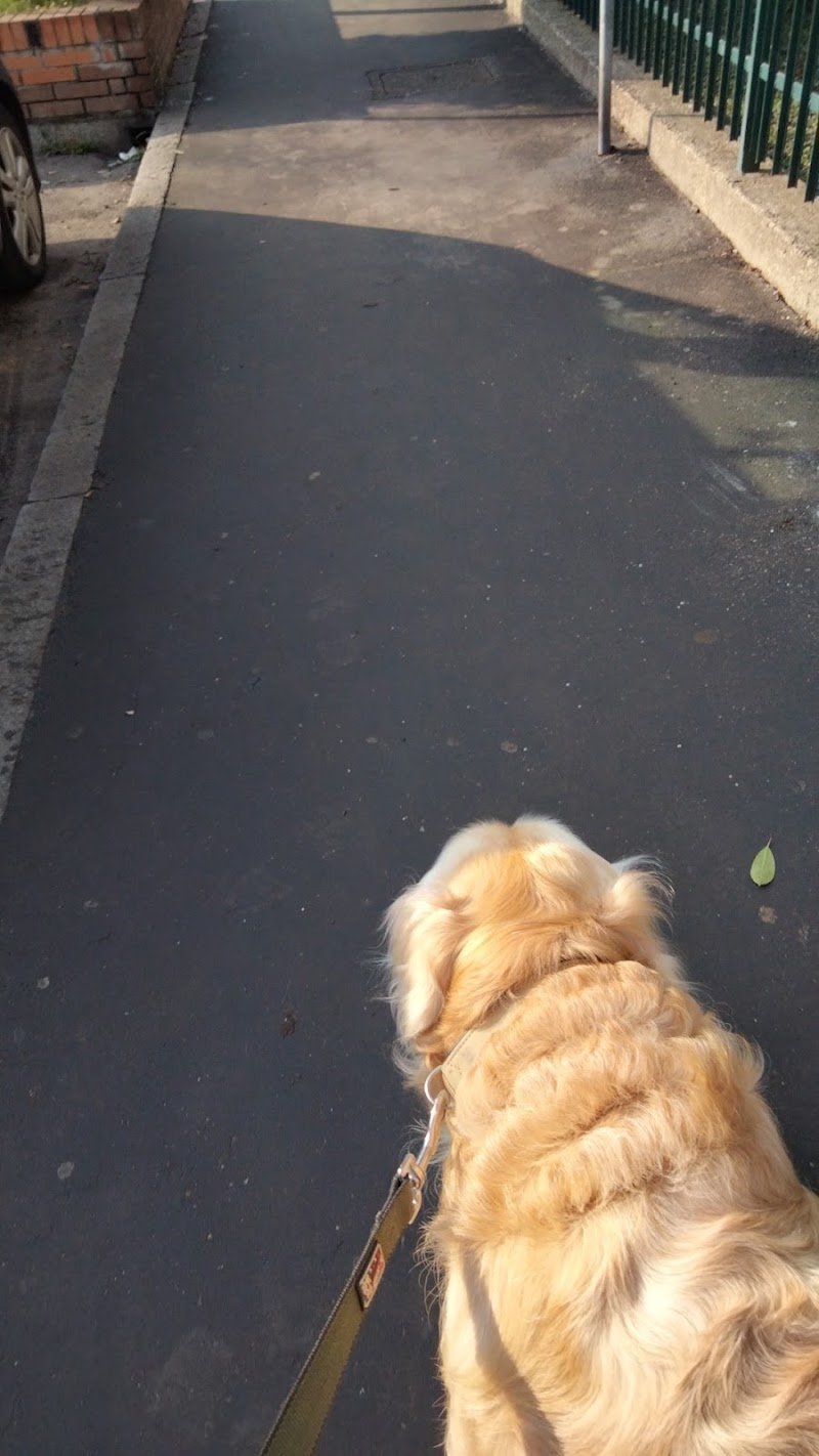 La Cuccia di Luna - Foto 5