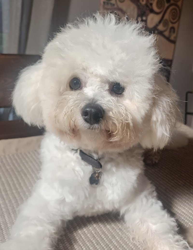 La Cuccia Di Pretone Ornella - Foto 1