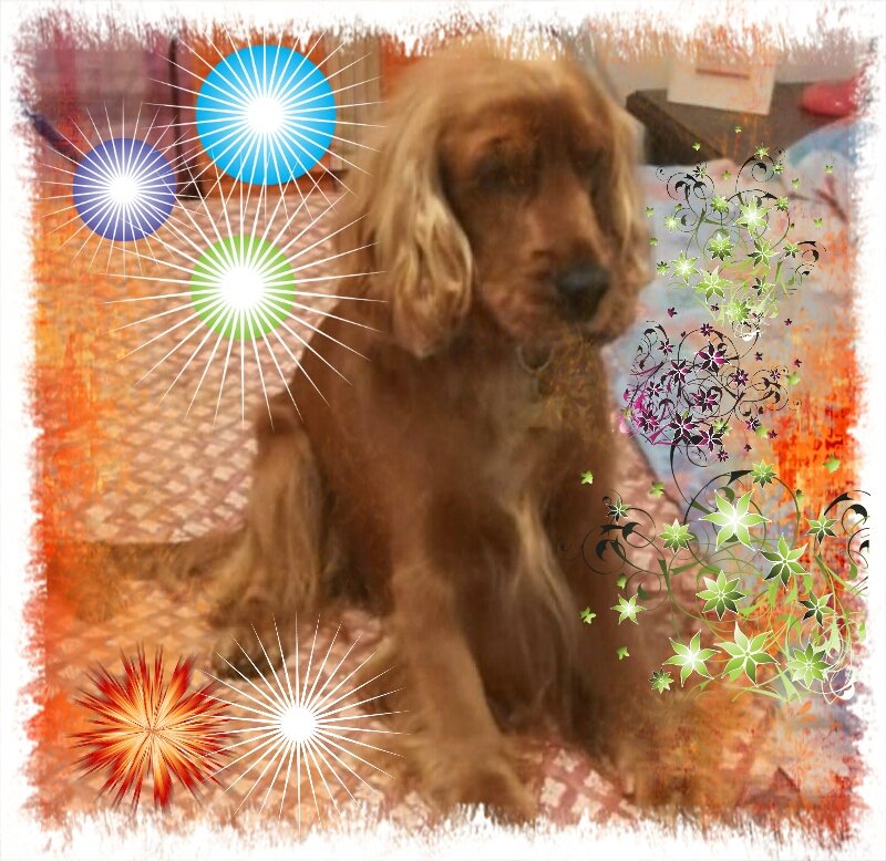 La Cuccia Di Pretone Ornella - Foto 3