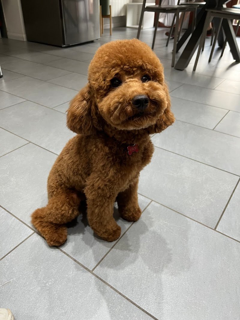 La Cuccia Di Pretone Ornella - Foto 4