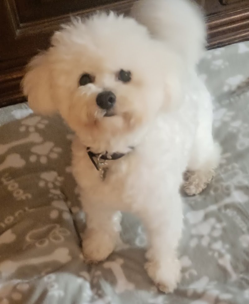 La Cuccia Di Pretone Ornella - Foto 5