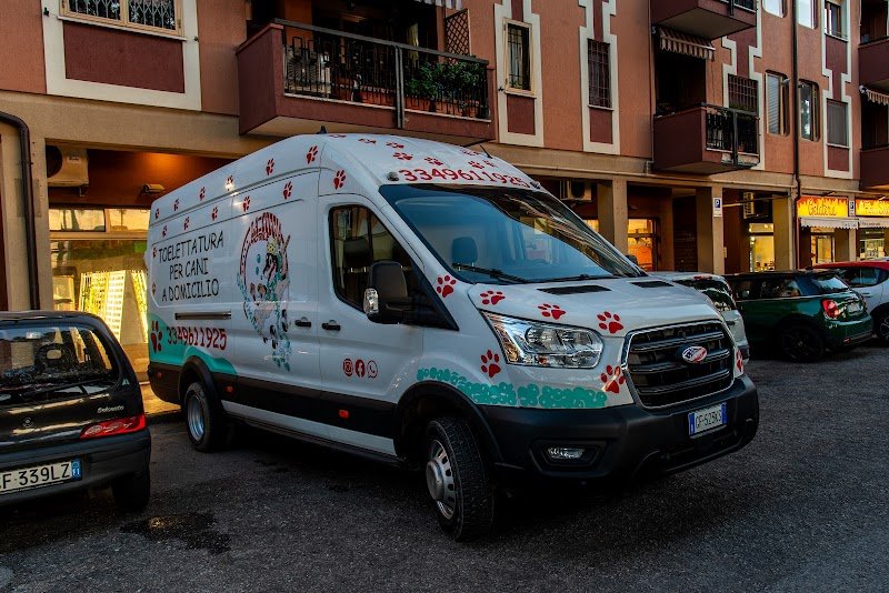 La Cuccia Toilette Per Cani - Foto 1