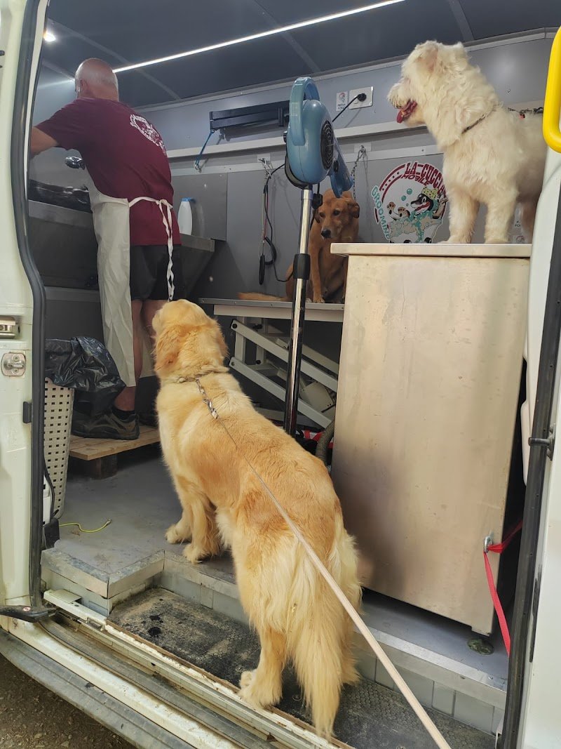 La Cuccia Toilette Per Cani - Foto 6