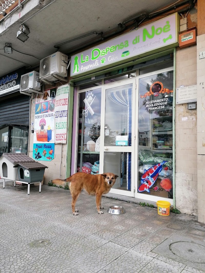 La Dispensa di Noè - Foto 1