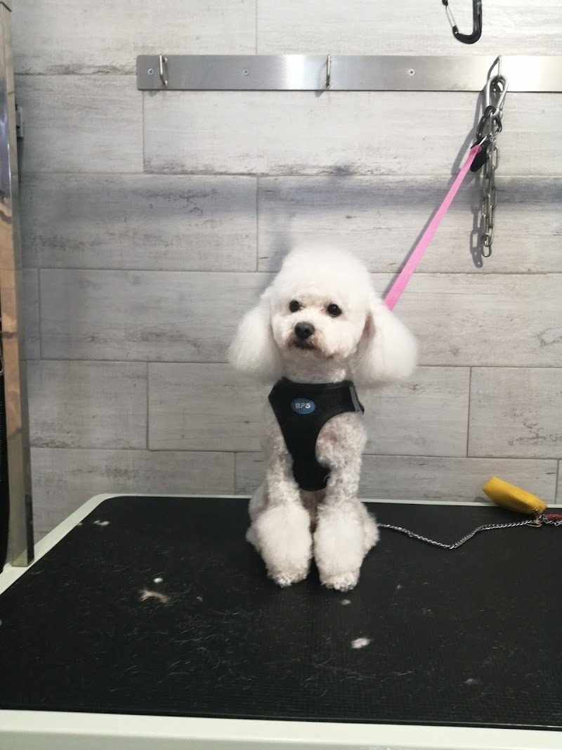 La Dispensa di Noè - Foto 2