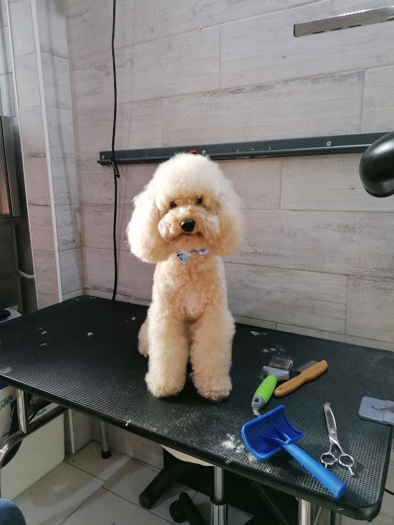 La Dispensa di Noè - Foto 3