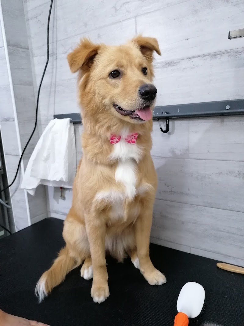 La Dispensa di Noè - Foto 4