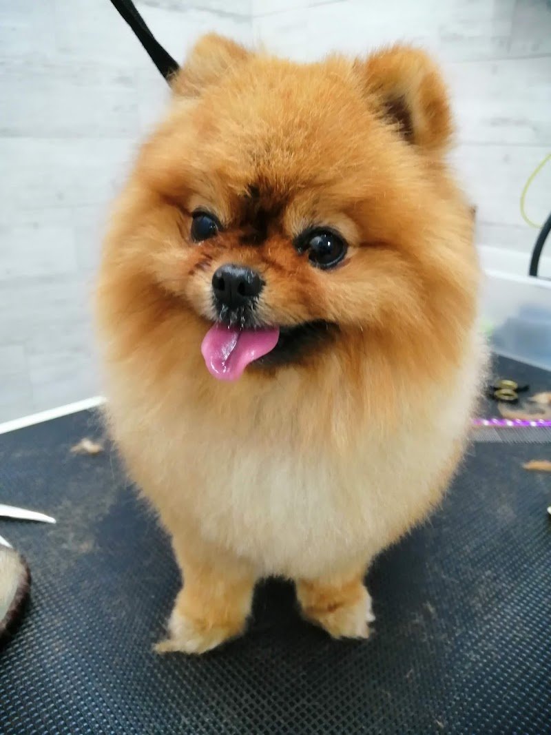 La Dispensa di Noè - Foto 5