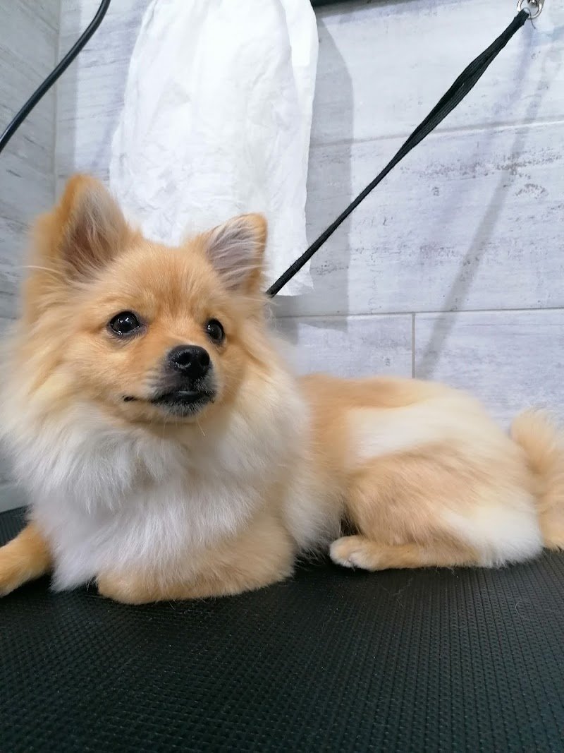 La Dispensa di Noè - Foto 6