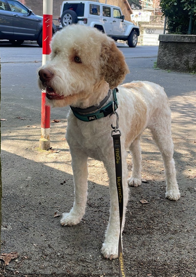 La Doccia di Pasupathipillai Kumaravelu - Foto 2