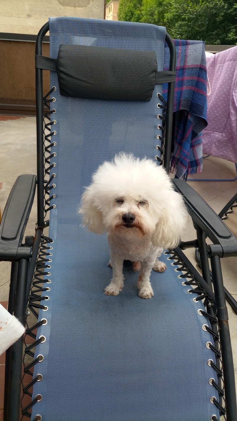 La Doccia di Pasupathipillai Kumaravelu - Foto 4