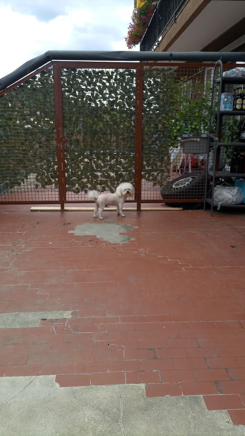 La Doccia di Pasupathipillai Kumaravelu - Foto 5