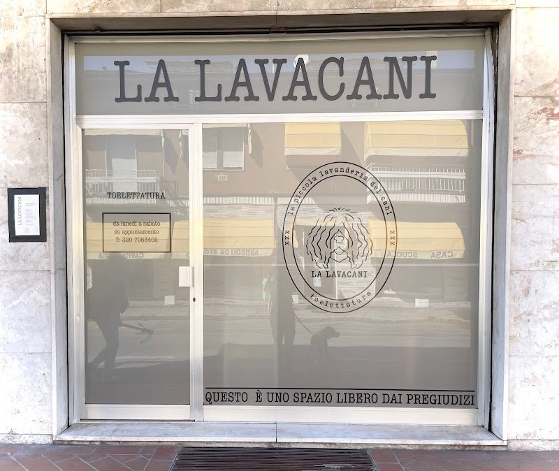 LA LAVACANI - Foto 1