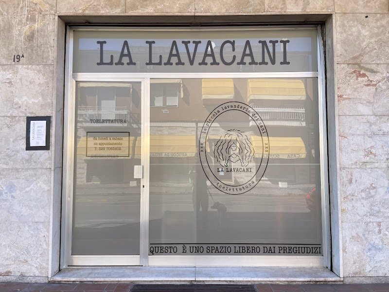 LA LAVACANI - Foto 2