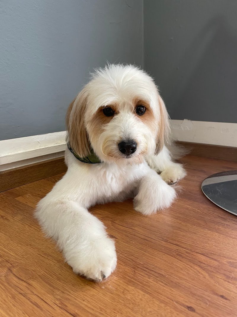 LA LAVACANI - Foto 6