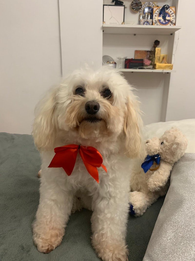 La Magica Oasi - Foto 1