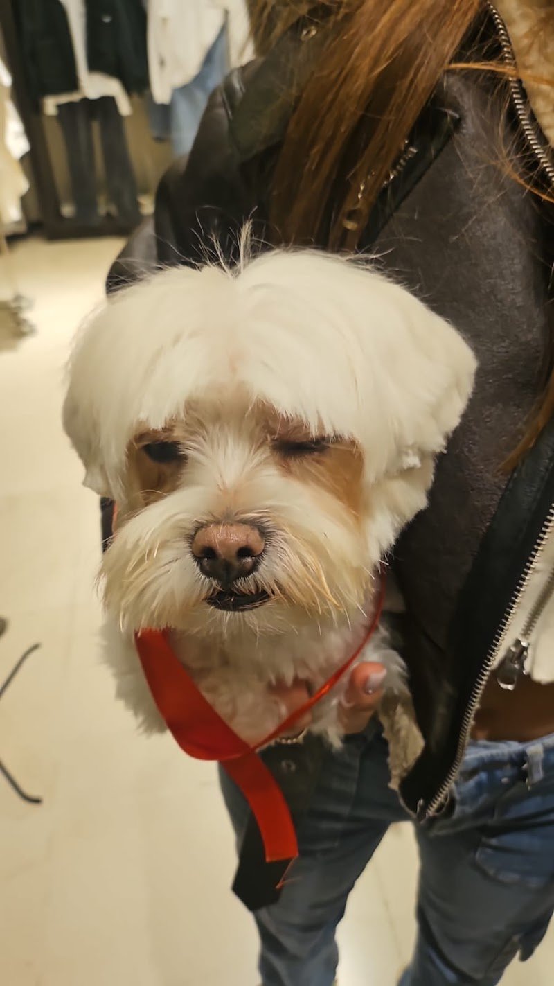 La Magica Oasi - Foto 5