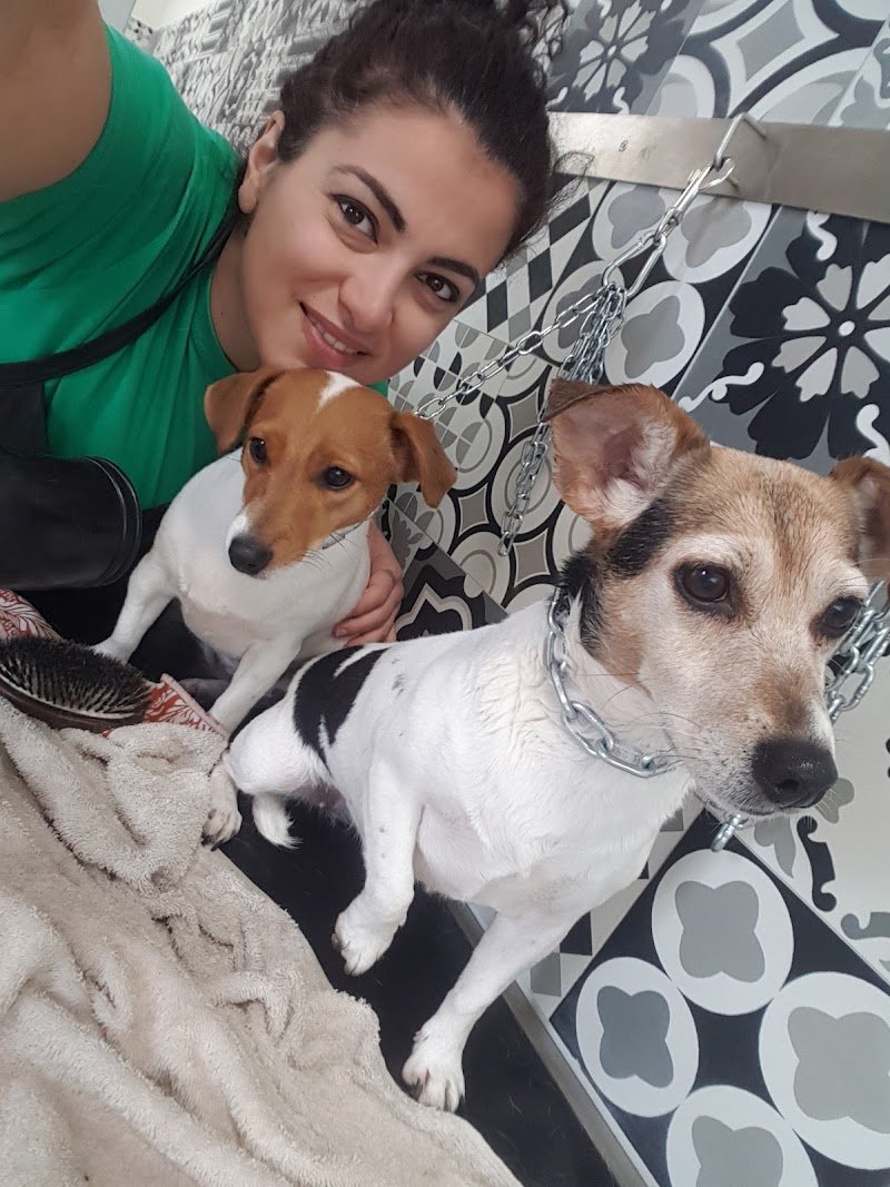 La Pecora Nera - Foto 2