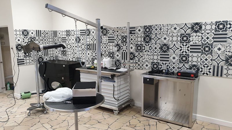 La Pecora Nera - Foto 3