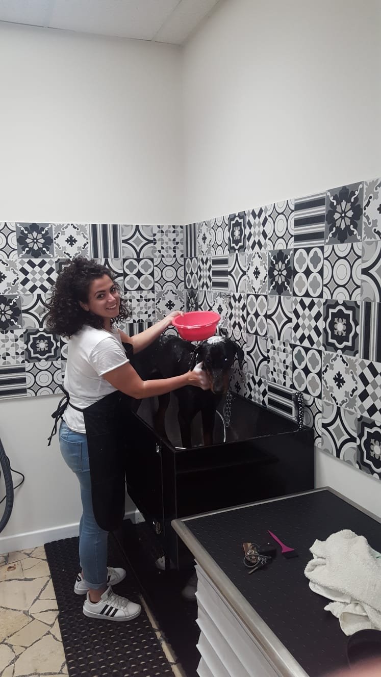 La Pecora Nera - Foto 4