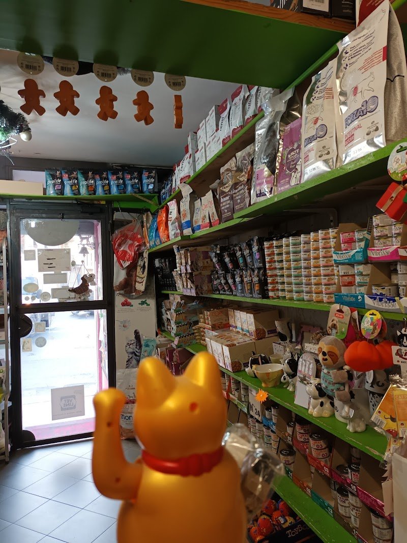 La Sosta di Pluto - Foto 2