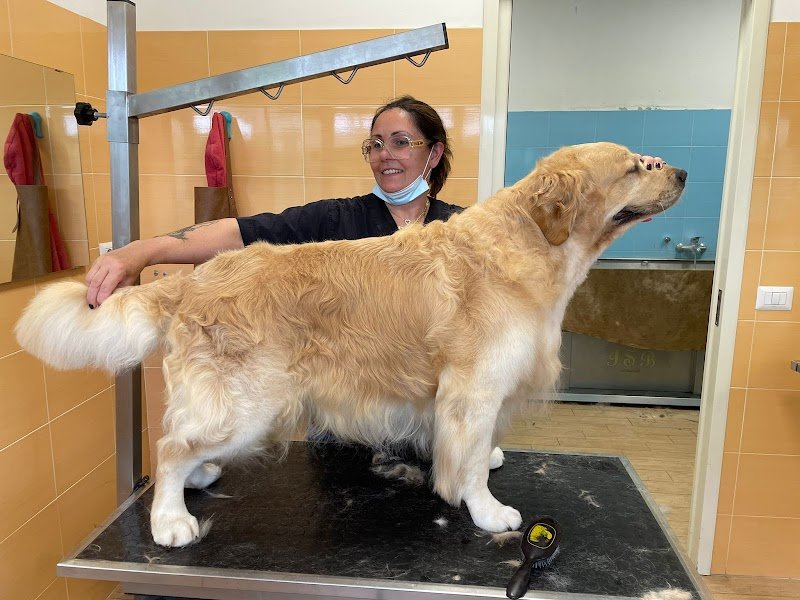 La SPA di Gastone - Foto 3