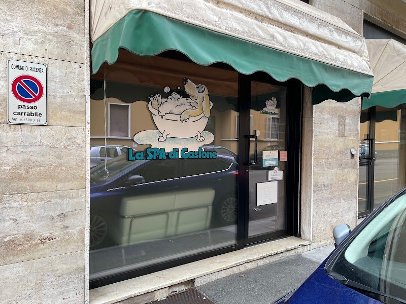 La SPA di Gastone - Foto 4