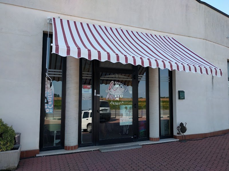 La Spazzola Magica - Foto 1