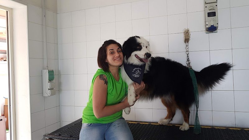 La Spazzola Magica - Foto 2