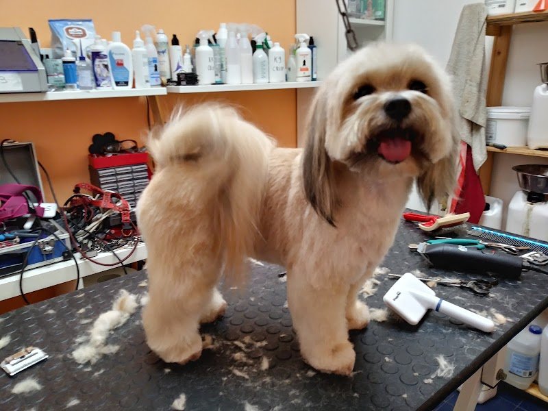 La Tana delle Meraviglie - Foto 4