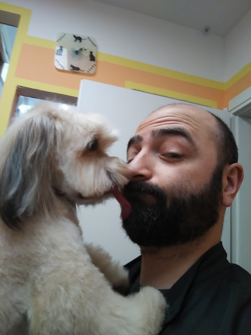 La Tana delle Meraviglie - Foto 5