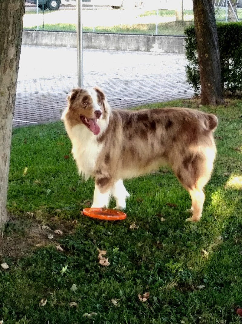 La Tana delle Meraviglie - Foto 6