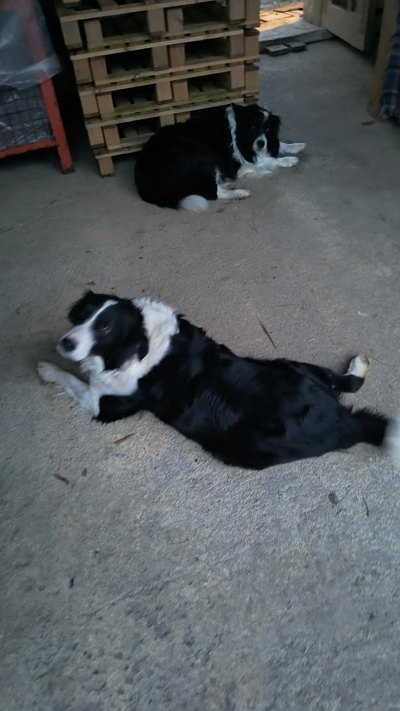 La Tana Di Atena - Foto 1