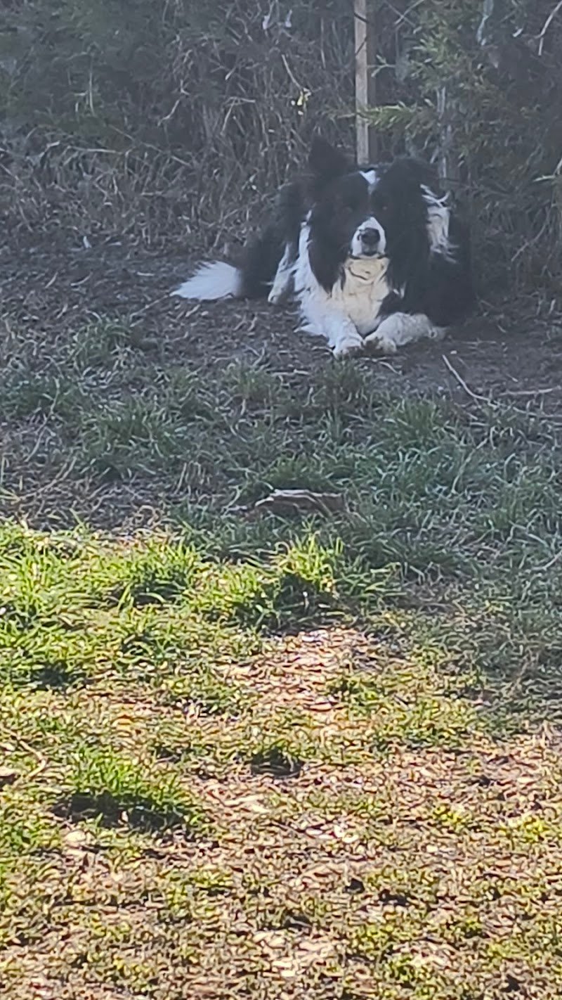 La Tana Di Atena - Foto 2