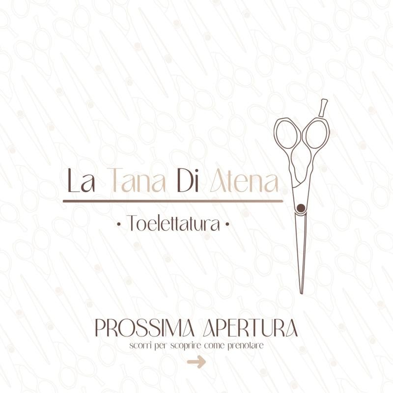 La Tana Di Atena - Foto 5