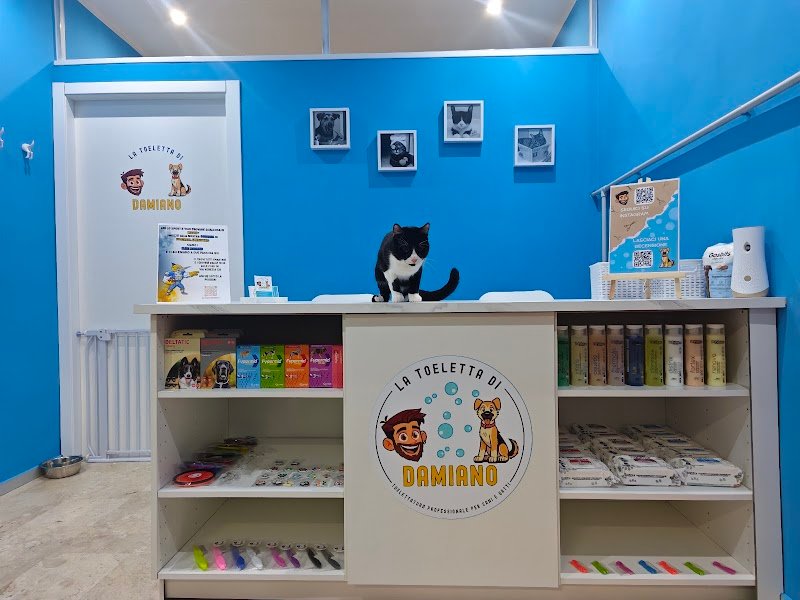 La Toeletta di Damiano - Foto 1