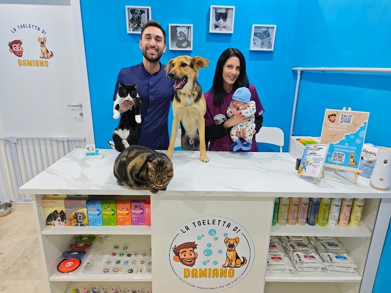 La Toeletta di Damiano - Foto 2