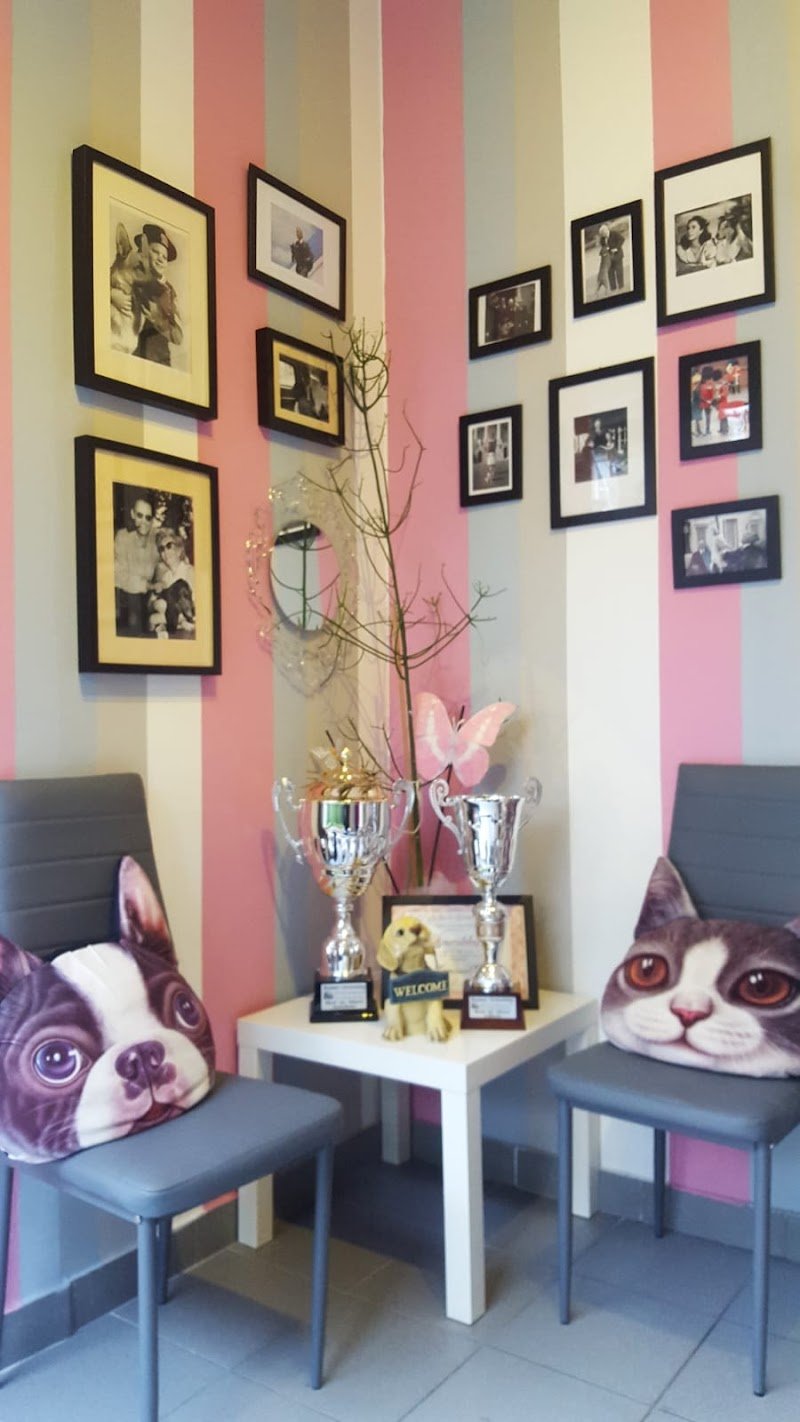 La Toelettatura di Francesca - Foto 6