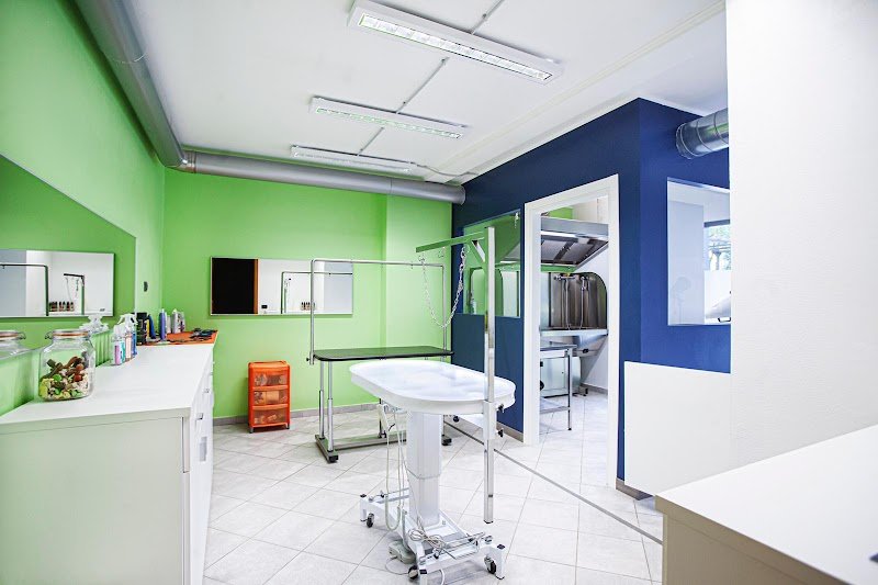 La Toelettatura Luino - Foto 2