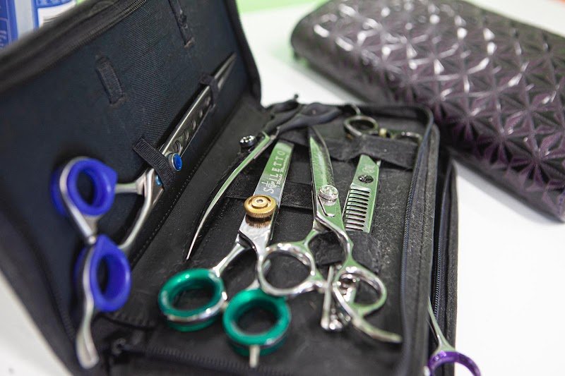 La Toelettatura Luino - Foto 6