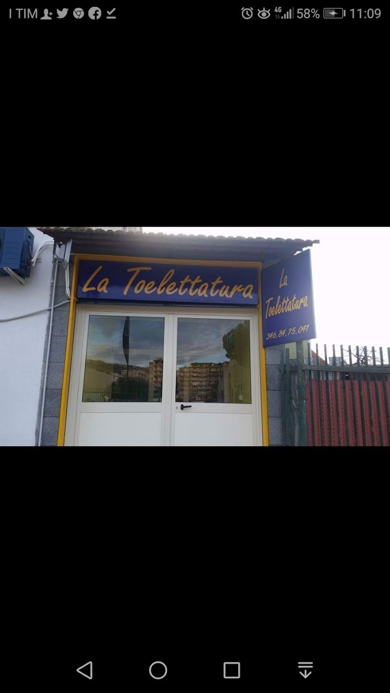 La Toelettatura - Foto 1